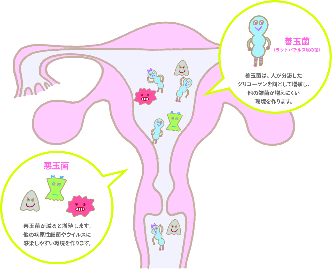 ﾌﾛｰﾗ